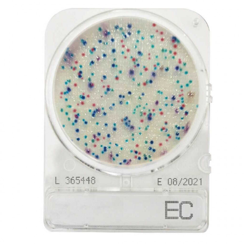 COMPACT DRY EC (E.COLI /COLIFORMES) - PAR 1400