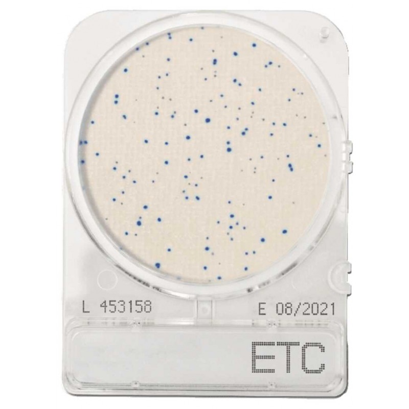 COMPACT DRY ETC (ENTEROCOQUES) PAR 1400