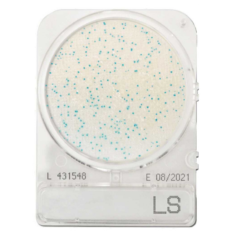 COMPACT DRY LS (LISTERIA) - PAR 1400