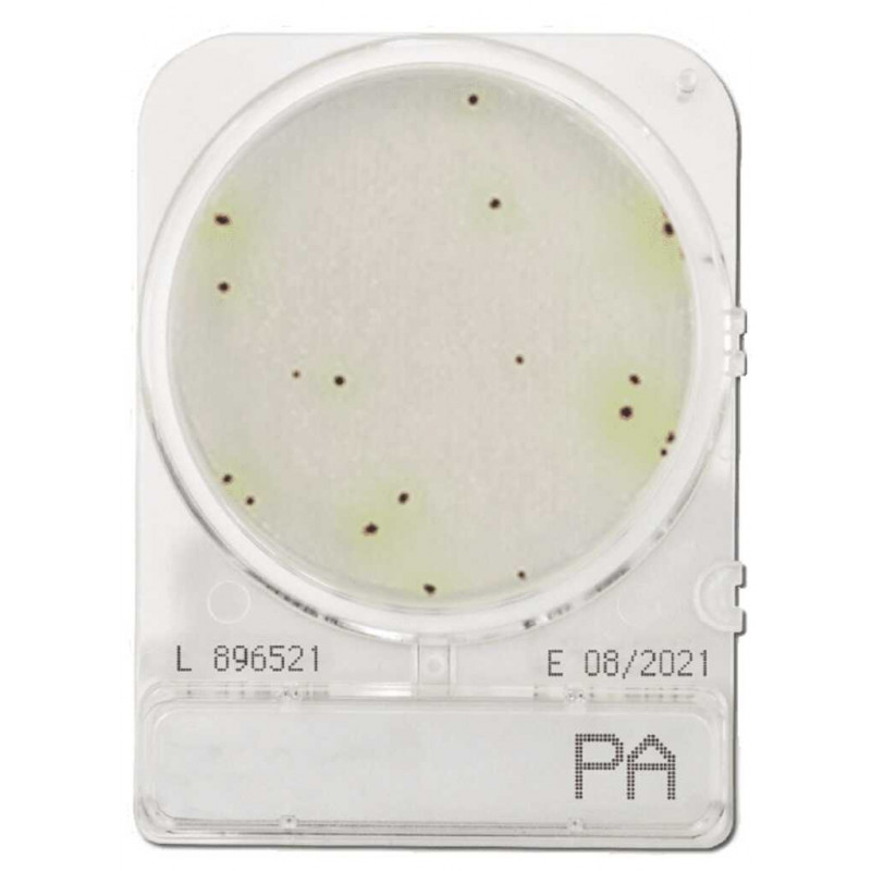 COMPACT DRY PA (PSEUDOMONAS AERUGINOSA) - PAR 1400