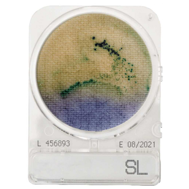 COMPACT DRY SL (SALMONELLES) - PAR SACHET DE 4