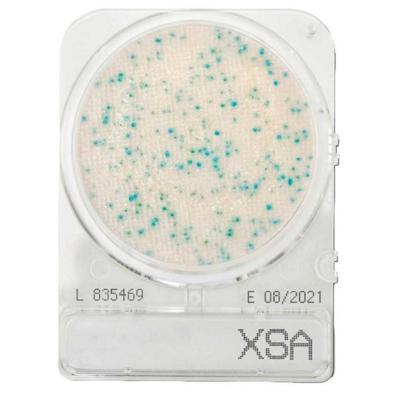 COMPACT DRY XSA (STAPH.AUREUS) - PAR 1400