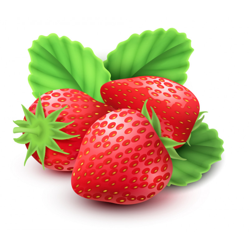 AROME NATUREL FRAISE 16,5% VOL CERT BIO 7.31037 - 5KG