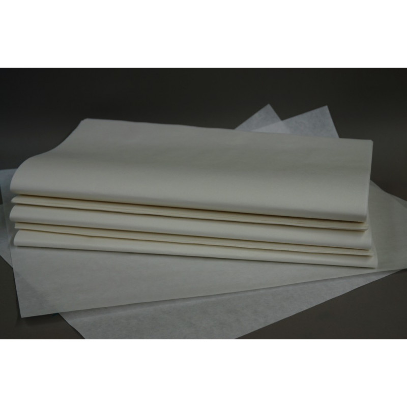 PAPIER FILTRE STANDARD LISSE GRADE 600 460X570MM -PACK X100