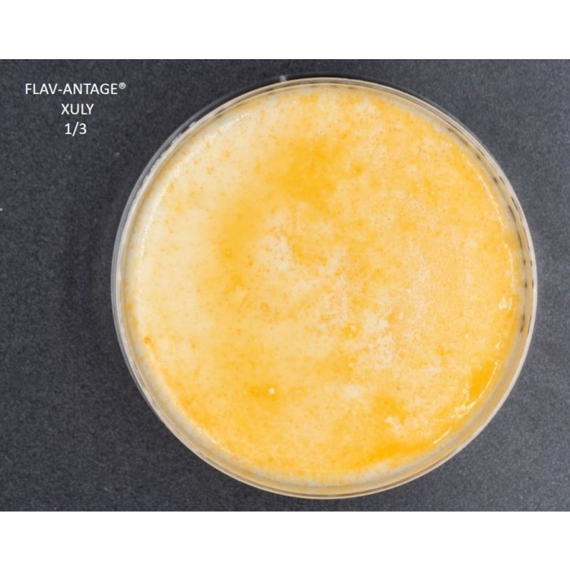 FLAV-ANTAGE XULY 10D - LE SACHET