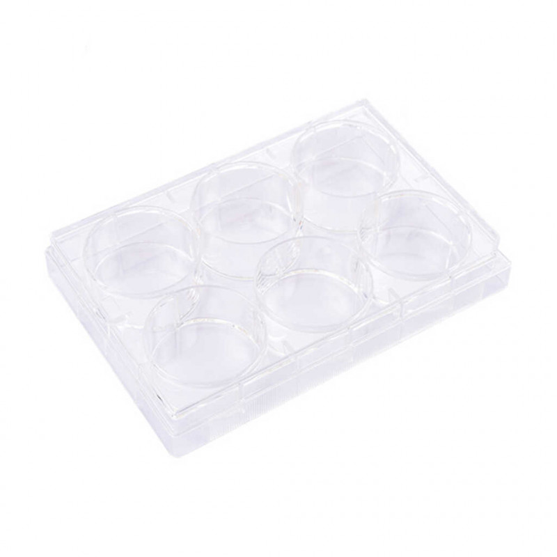 PLAQUE CULTURE CELLULAIRE 6 PUITS STERILE NON TR. FOND PLAT PACK X50