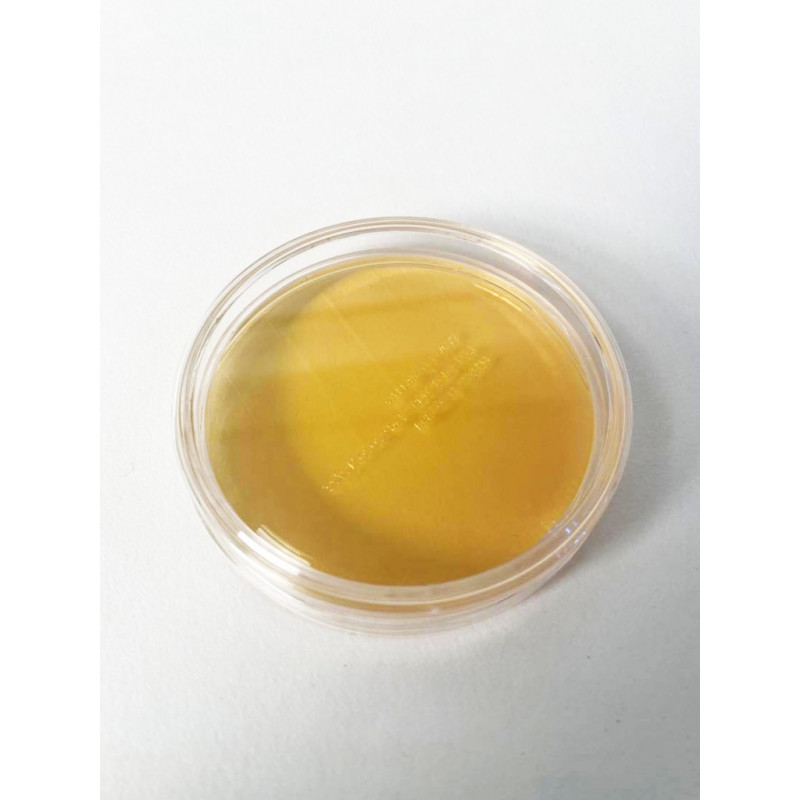 BOITES CONTACT STAPH AUREUS (BP+NEUTR) ATL-20BTES 55MM