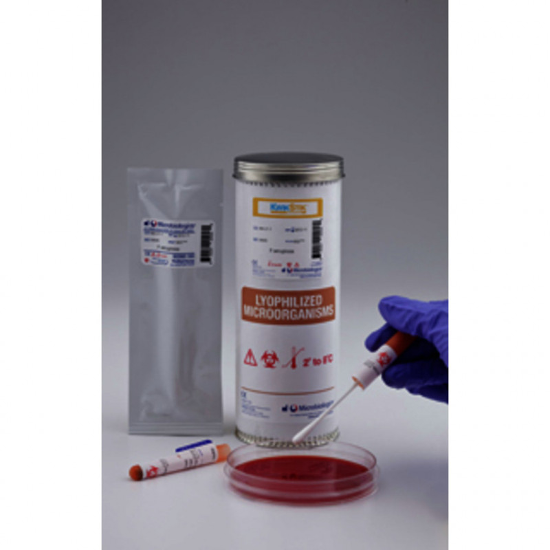 KWIK-STIK PAENIBACILLUS POLYMY -XA ATCC43865TM - 2 ECOUV.