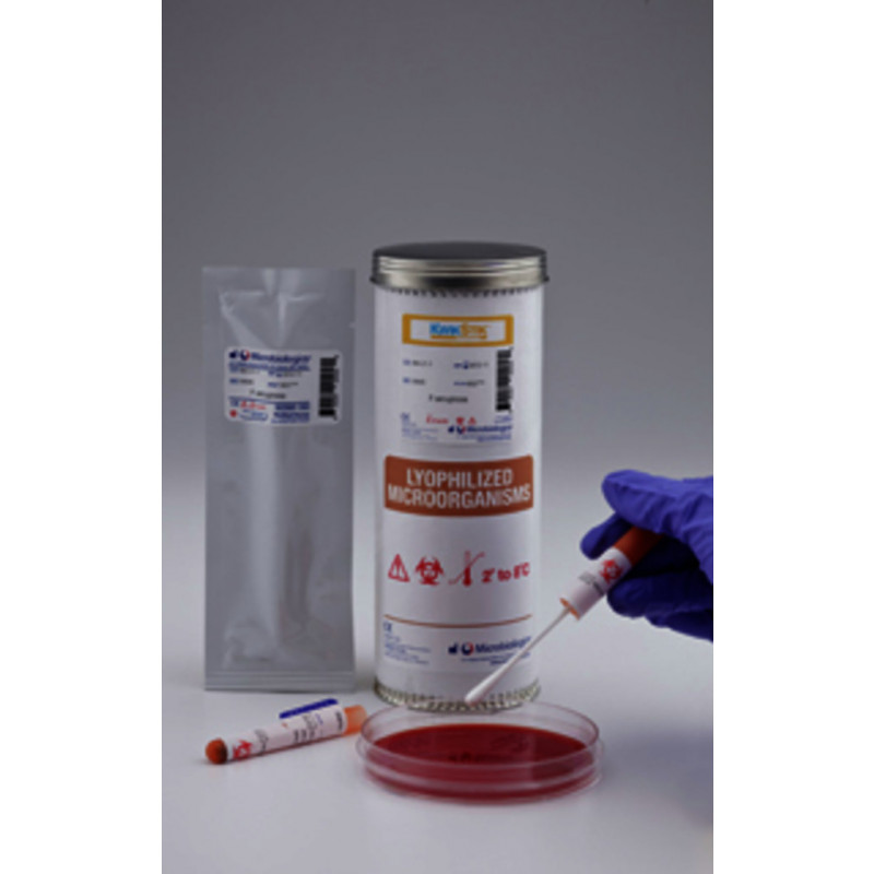 KWIK-STIK LACTOBACILLUS LEICH- MANNII ATCC7830TM-2 ECOUV.