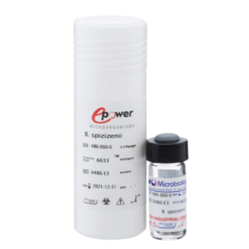 EPOWER LISTERIA INNOCUA ATCC33090TM - 10 PASTILLES