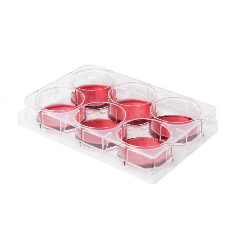 BONBONNE EN VERRE PYREX 10L RODAGE 60/46 + BOUCHON - Laboratoi