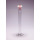EPROUVETTE GRADUEE BOUCHEE VER -RE CL.B 100ML CN24/29- PACK 2