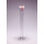 EPROUVETTE GRADUEE BOUCHEE VERRE PYREX CL. B 2000ML -X5