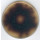 COEUR CERVELLE BOUILLON MERCK 10493-500G
