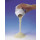 DEV TRYPTOPHANE BOUILLON MERCK 10694-500G