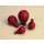 POIRE EN CAOUTCHOUC ROUGE POUR PIPETTES CAP.15ML