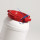 BARIL EN PEHD L.O. 10L AVEC COUVERCLE ROUGE D239X274X204MM