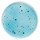 BOUILLON M-COLIBLUE 24 M00PMCB24 - 50 AMPOULES X 2ML