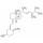 VITAMIN D2 SOLUTION 1MG/ML SIGMA - V-024 - 1ML