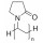 POLYVINYLPYRROLIDONE SIGMA PVP40 - 100G