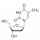 THYMIDINE BIOREAGENT SIGMA - T1895 - 1G