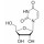 URIDINE >99% SIGMA U3750-25G