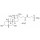 ACIDE TAUROCHOLIC SEL SODIUM >95% (TLC) SIGMA T4009 - 1G