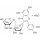 RUTINE HYDRATE >94% (HPLC) EN POUDRE - SIGMA - R5143-100G