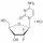 GEMCITABINE HYDROCHLORIDE >98% SIGMA - G6423 - 50MG