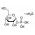 A-D-GLUCOSE 1-PHOSPHATE DIPO SALT HYDRATE SIGMA G6750-500MG