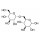 ISOMALTOSE 98% SIGMA I7253 - 100MG