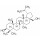 BETULINE >98% SIGMA B9757-1G