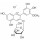 CHLORURE DE PETUNIDINE 3-0-B-D FLUKA 30638 - 10MG