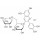 CHLORURE DE KERACYANIN FLUKA 36428 - 5MG
