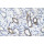 ANTI-SOX10 ANTICORPS DE LAPIN SIGMA SAB2108390 - 100UL
