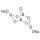 TETRABORATE DE SODIUM 99% SIGMA 221732-100G