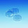 BOITES CONTACT D.55MM AVEC GRILLE NUMEROTEE - PACK X300