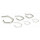 POIDS ETALON INOX 100MG CLASSE E2 AVEC BOITE PLASTIQUE DAKKS