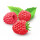 AROME NATUREL FRAMBOISE 15,5% VOL CERT BIO 7.31020 - 5 X 5KG