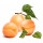 AROME NATUREL ABRICOT 14% VOL CERT BIO 7.31015 - 5 X 5KG