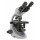 MICROSCOPE BINOCULAIRE OPTIKA B-292Pli