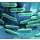 LYOFAST LR 4PD (ANTI-LEV/MOIS) 10D - PACK DE 10 SACHETS