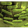 LYOFAST FPR 2 (ANTI-GONFLEM.) 10D - PACK DE 10 SACHETS