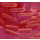 LYOFAST LP AL (ANTI-LISTERIA) 10D - PACK DE 10 SACHETS