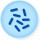 LYFO DISK PSEUDOMONAS FLUORES- CENS ATCC13525TM - 6 PASTILLES