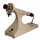 POLARIMETRE PL1 EXACTA OPTECH
