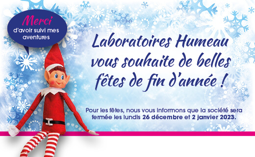 lutin de noel 23 décembre 2022