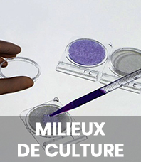 Milieux de culture