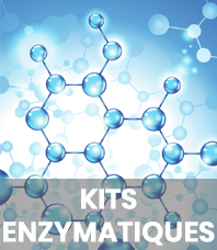kits enzymatiques