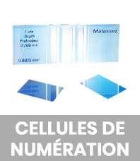 Cellules de numérotation